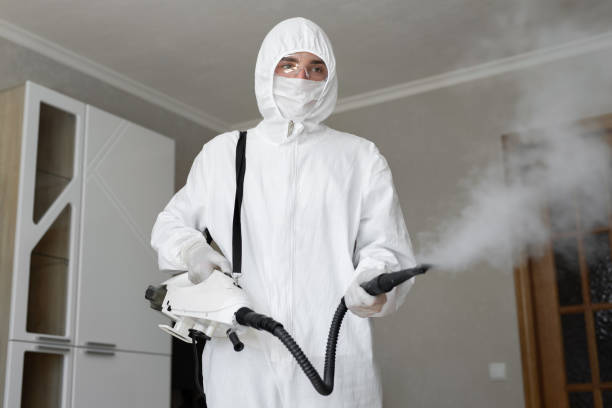 Why You Should Choose Our Mold Remediation Services in Reno, OH